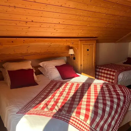 Hotel Fleur Des Neiges 3*