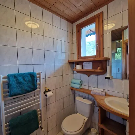Fleur Des Neiges Hotel Morzine