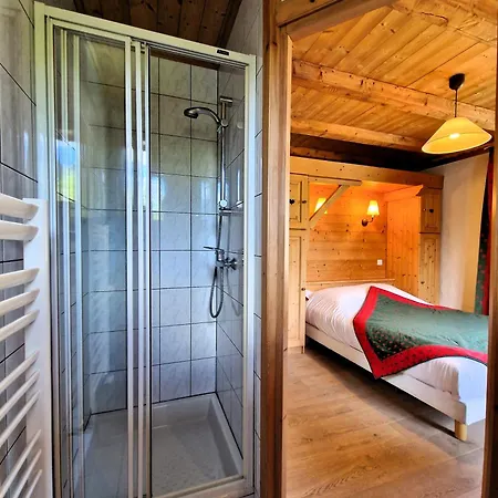 Fleur Des Neiges 3* Morzine