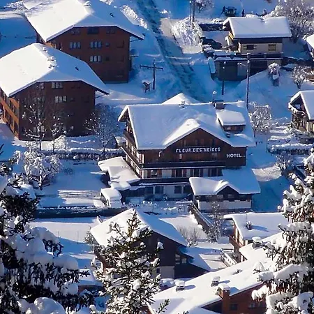Fleur Des Neiges Hotel Morzine
